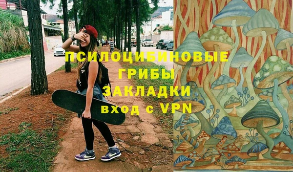 героин Няндома