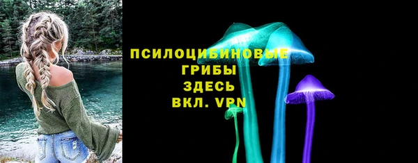хмурый Нязепетровск