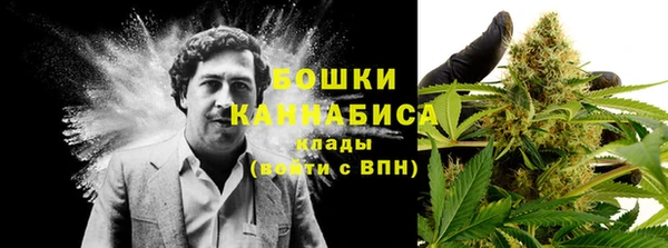 PSILOCYBIN Белая Калитва