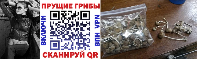 купить  сайты  Нефтеюганск  Галлюциногенные грибы мухоморы 