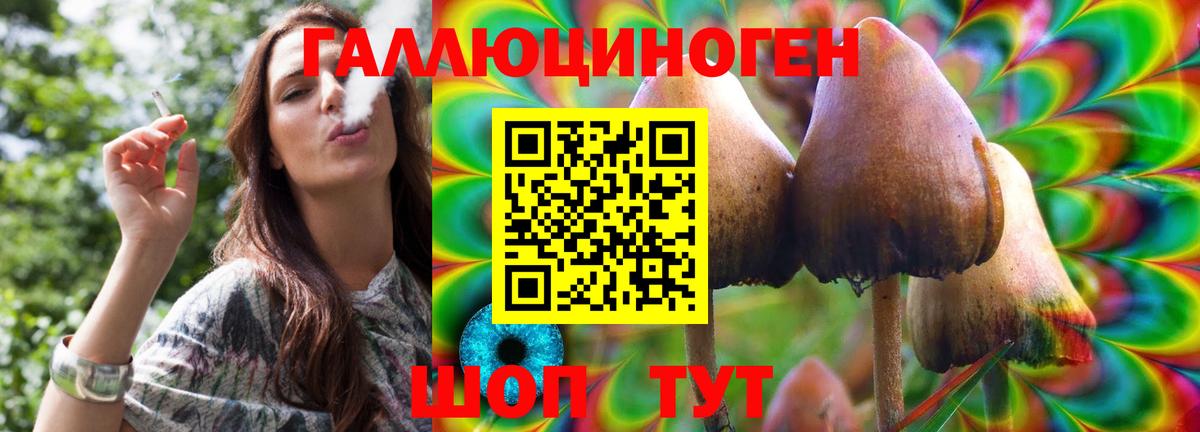 Псилоцибиновые грибы MAGIC MUSHROOMS  Вход с VPN  Нефтеюганск 
